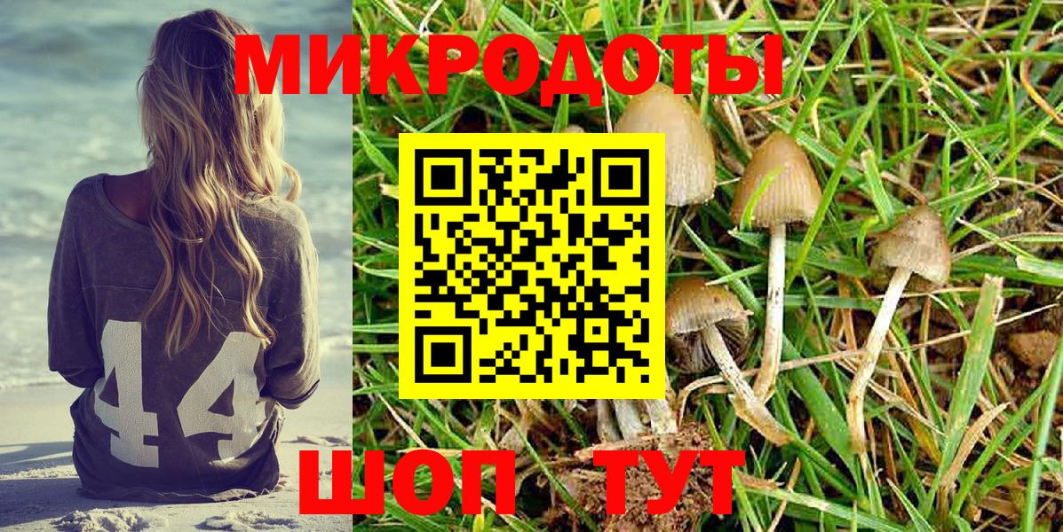 Псилоцибиновые грибы мухоморы  Галлюциногенные грибы Psilocybe  Моздок  Вход с VPN 