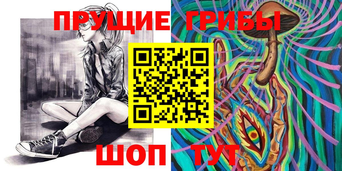 Псилоцибиновые грибы GOLDEN TEACHER Моздок